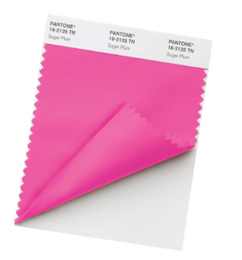 Nylon Brights Swatch TN 17-2435 Pink Glo
