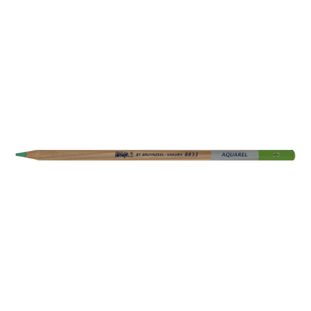 Bruynzeel Aquarelle Pencil Lt Green #60