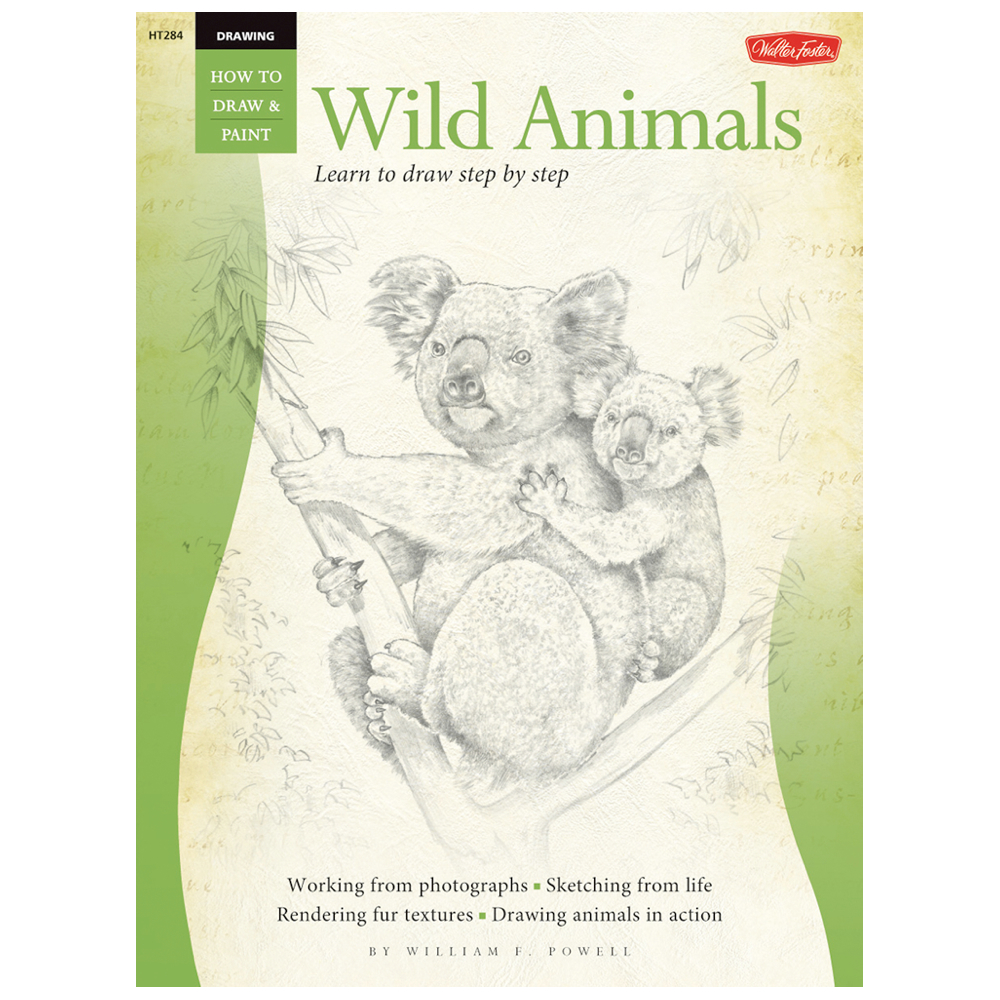 Forest wild animal best blog How to draw wild animals book