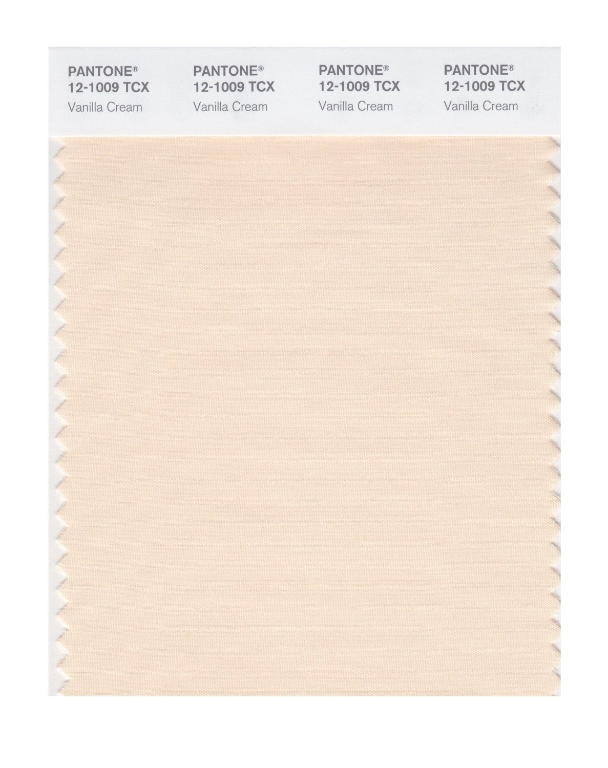 Beige Pantone Style Color Swatch Art Board Print for Sale by