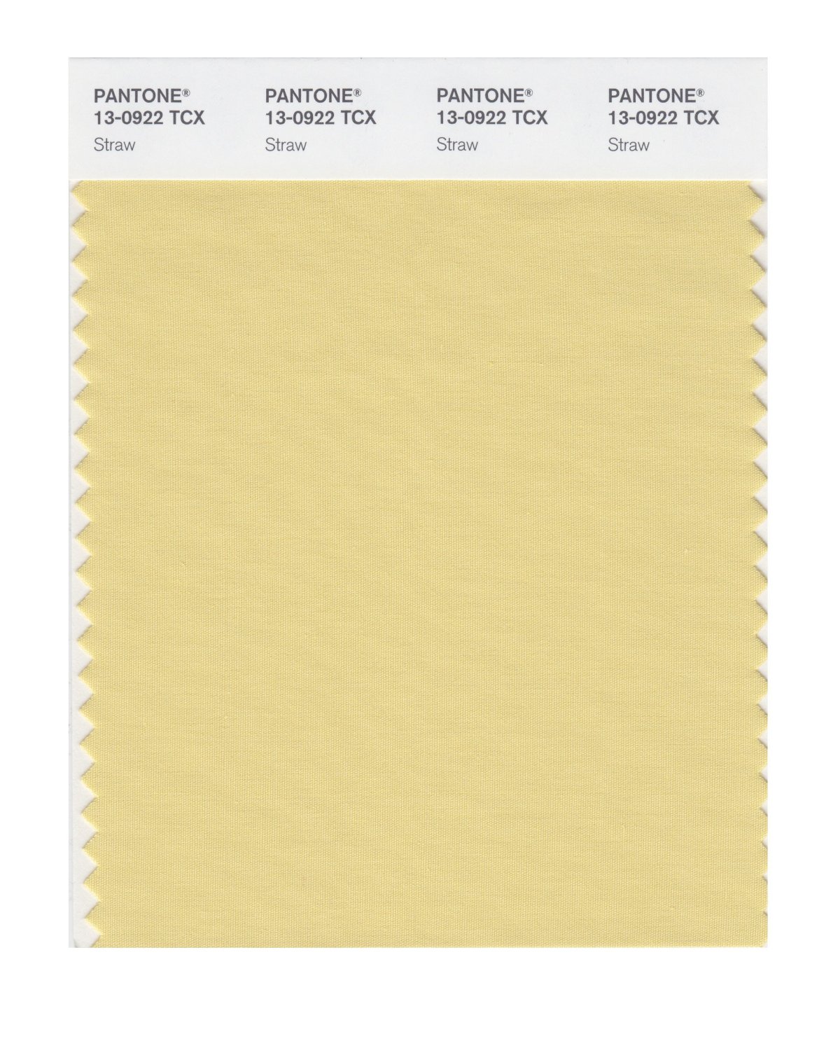 Pantone Cotton Swatch 13-0922 Straw