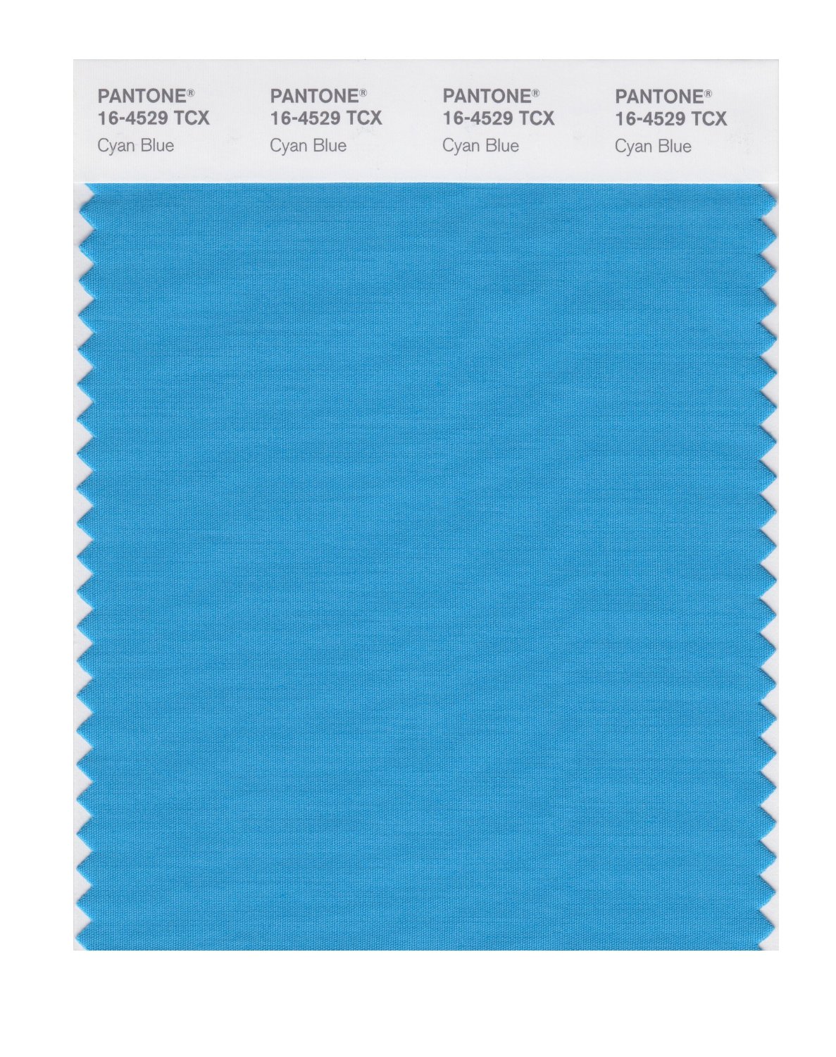 BUY Pantone Cotton Swatch 16-4529 Cyan Blue