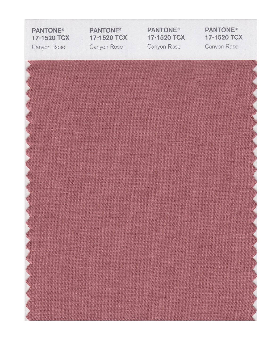 PANTONE 17-1520 TPG Canyon Rose Replacement Page (Fashion, Home