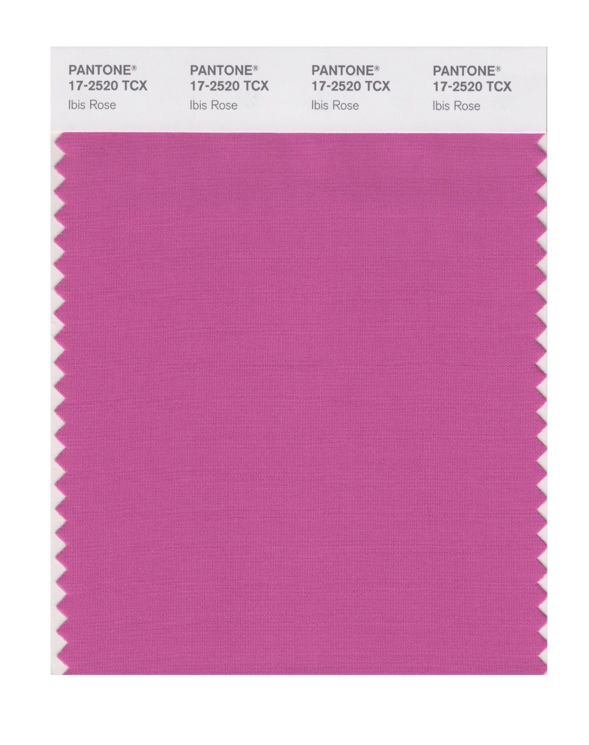 Pantone Cotton Swatch 17-2520 Ibis Rose