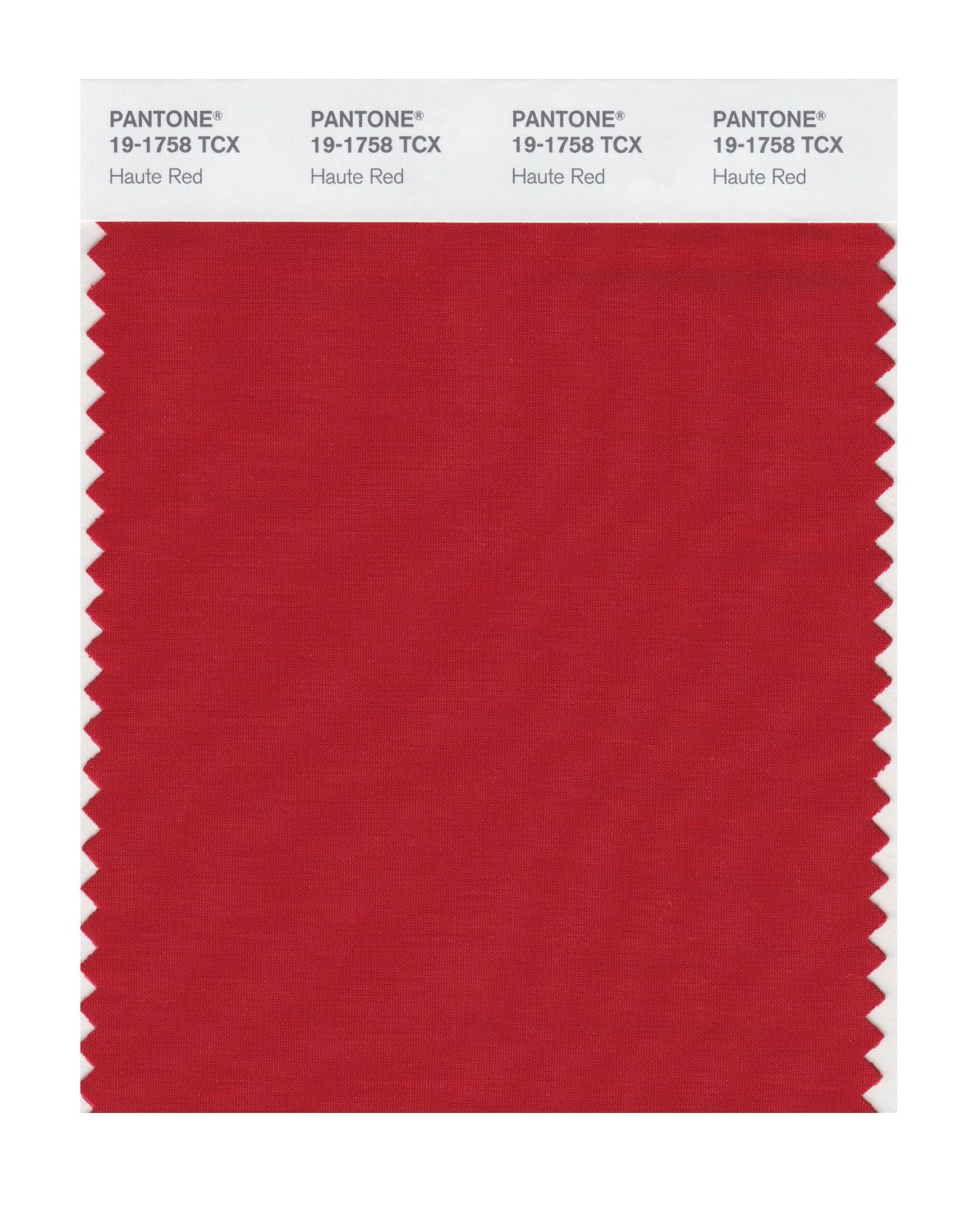 Pantone Haute Red  Pantone red, Pantone colour palettes, Pantone