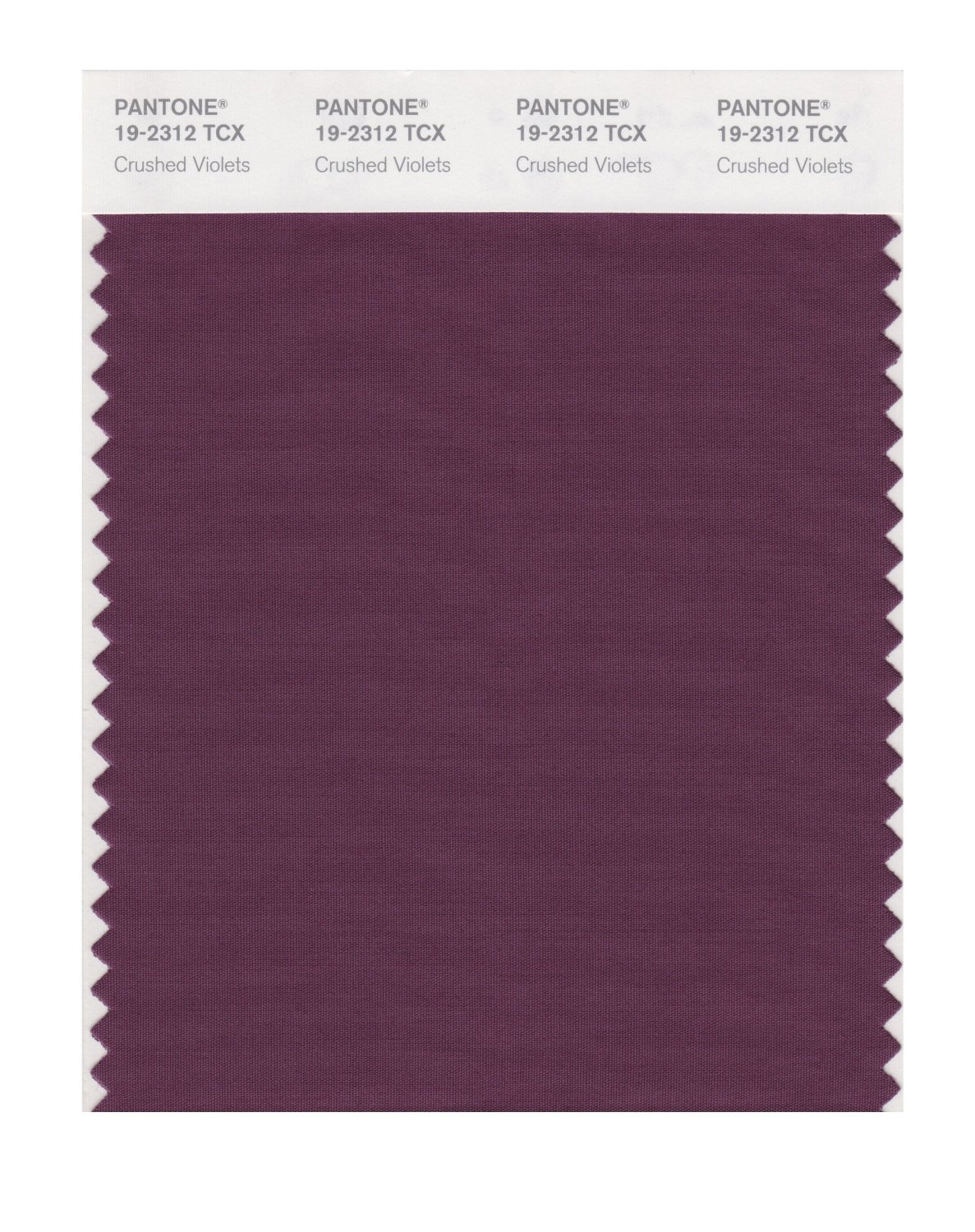 BUY Pantone Cotton Swatch 19-2312 Crushed Violets