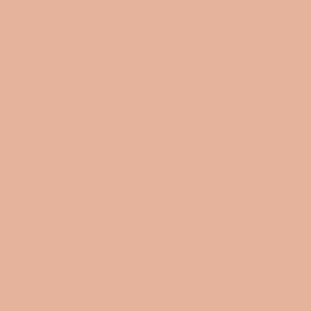 almost apricot  Color of the day, Pantone, Color