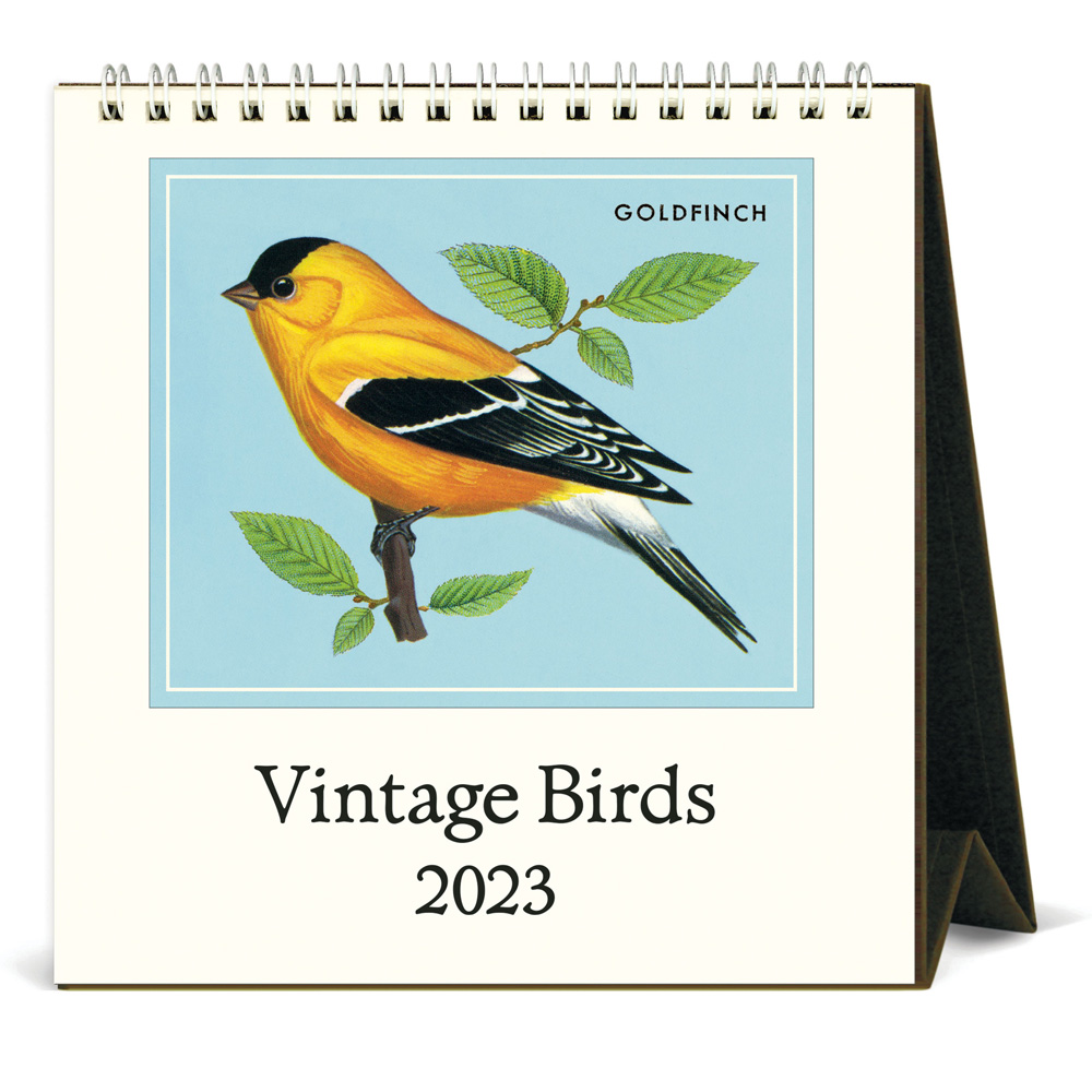 BUY Cavallini 2023 Desk Calendar Birds