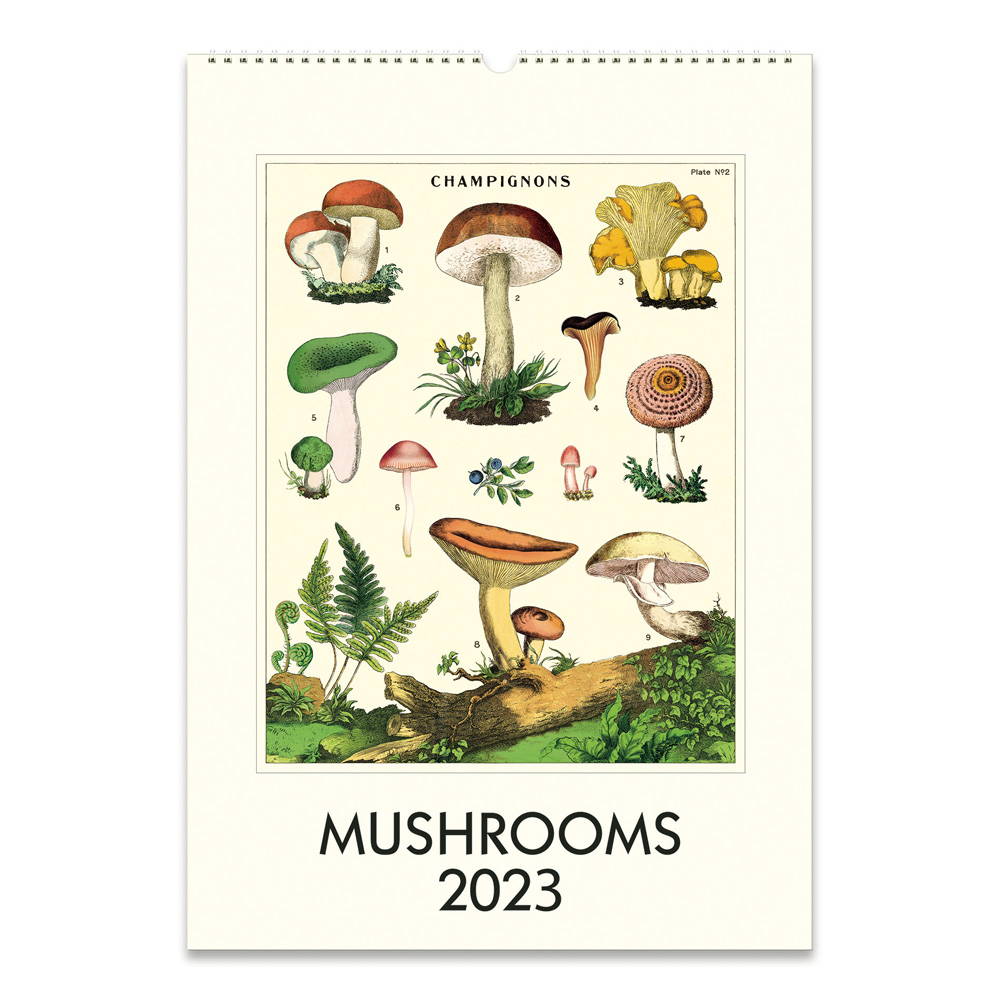 BUY Cavallini 2023 Wall Calendar Mushrooms