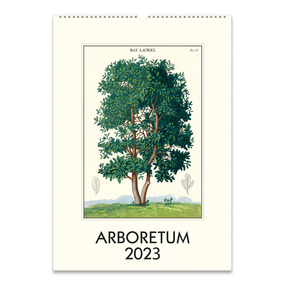BUY Cavallini 2023 Wall Calendar Arboretum
