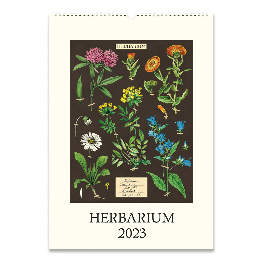 BUY Cavallini 2023 Wall Calendar Herbarium