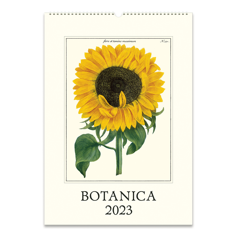 BUY Cavallini 2023 Wall Calendar Botanica