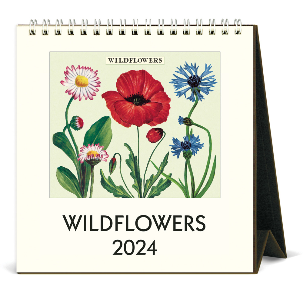 BUY Cavallini 2024 Desk Calendar Wildflowers