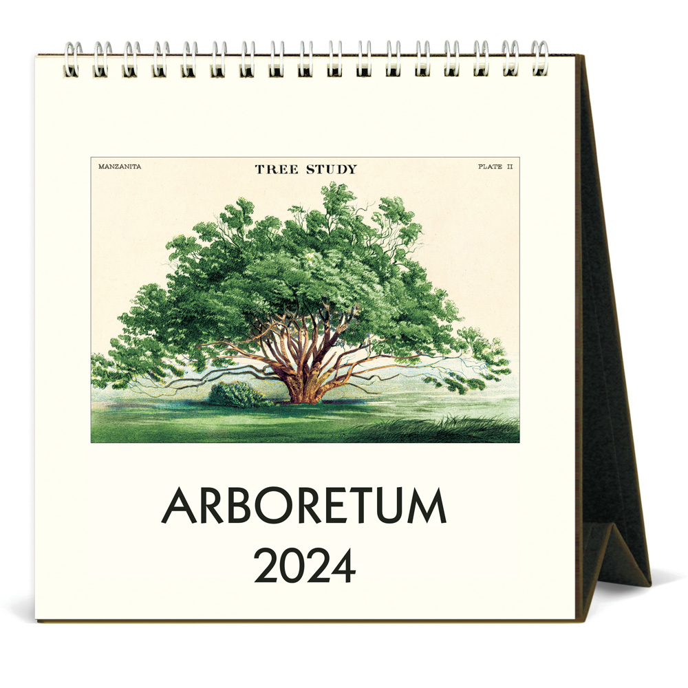 BUY Cavallini 2024 Desk Calendar Arboretum