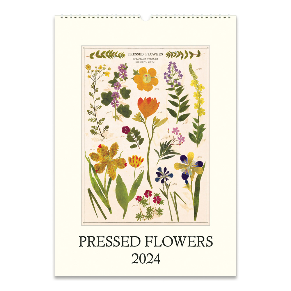 BUY Cavallini 2024 Wall Calendar Pressed Plants