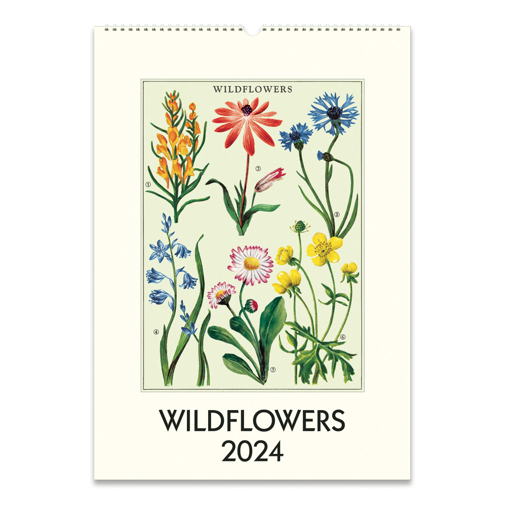 BUY Cavallini 2024 Wall Calendar Wildflowers